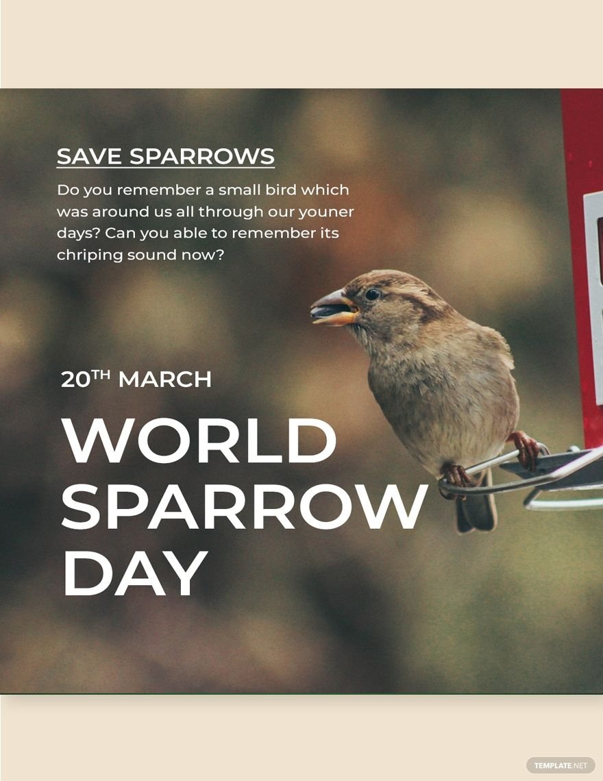 20th March 2024 World Sparrow Day HD Photos